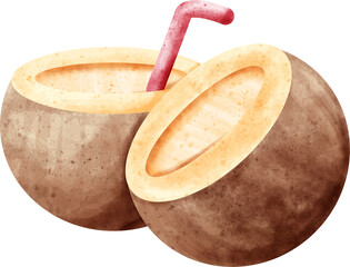 watercolor summer coconut