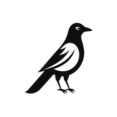 a black and white vector illustration of a magpie bird.eps