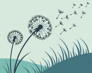 Dandelions Blowing In Wind