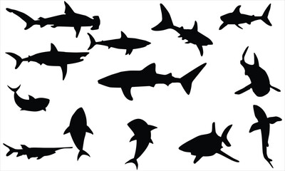 silhouettes of sharks