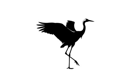 Obraz premium heron silhouette isolated on white