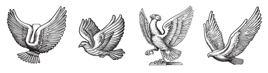 Obraz premium Vintage Bird Illustrations Featuring Different Wing Positions and Styles, logo design, engraving design, vector illustration