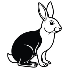 silhouette rabbit on white background