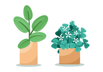 Set Hand drawn houseplant collection