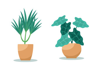 Set Hand drawn houseplant collection