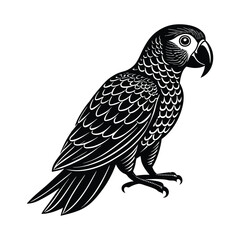 Hyacinth Macaw vector illustration