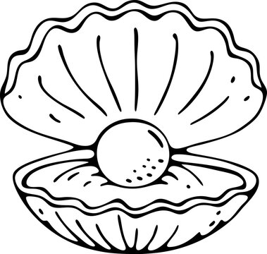 Open clam shell with pearl illustration monochrome line art of marine treasure and ocean theme