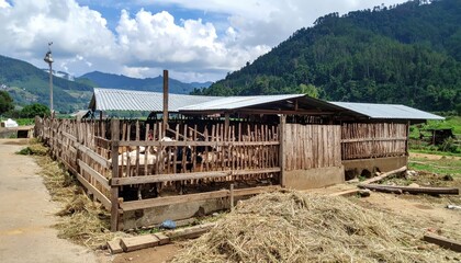 Obraz premium Farmhouse Goat Pen in Pokot with Scenic Mountain Background