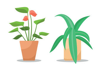 Set Hand drawn houseplant collection