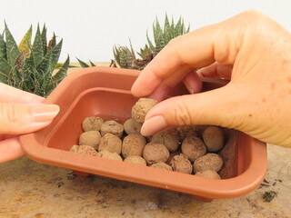 Woman hands filling a brown plastic pot with some expanded clay pebbles, preparing its drainage....