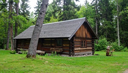 Cozy Rustic Log Cabin in Forest Setting for Tranquil Retreat