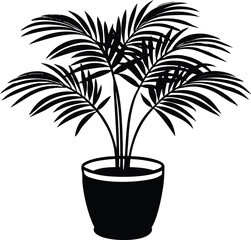 Black and white silhouette of a palm plant in a pot