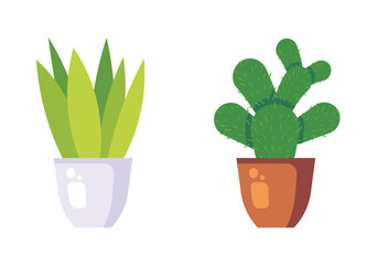 Set Hand drawn houseplant collection