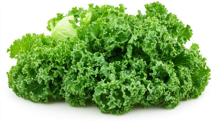 Fototapeta premium Green cabbage shown clearly against a plain white background