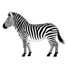 Fototapeta premium Black zebra silhouette vector artwork illustration