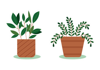 Set Hand drawn houseplant collection