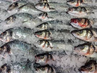 Abundance of Raw Sea Bass Neatly Arranged on Ice for Sale at Seafood CounterClose-up: Fresh...