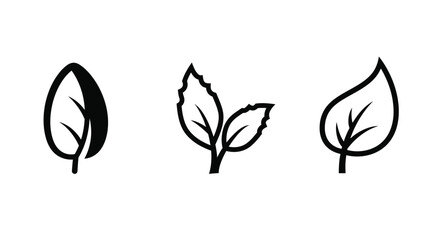 Simple leaf icon set. Vector illustration