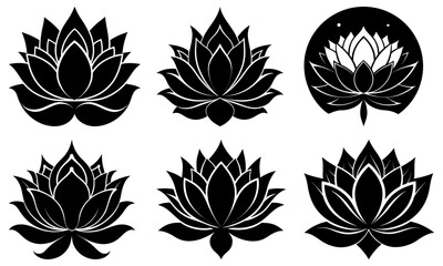 Lotus Flower Silhouette vector illustration