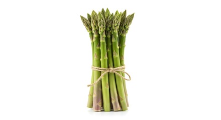 A healthy bunch of fresh green asparagus, isolated on a white background and ready for cooking