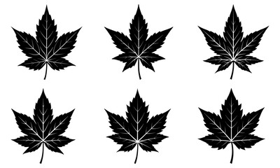 Japanese Maple Leaf Silhouette vector illustration