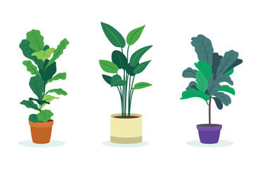 Set Hand drawn houseplant collection