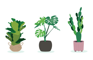 Set Hand drawn houseplant collection