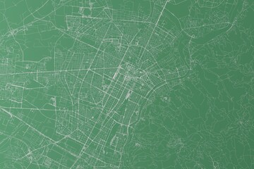Stylized map of the streets of Turin (Italy) made with white lines on green background. Top view. 3d render, illustration