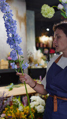 A florist in a flower shop makes a bouquet of blue delphiniums. Small business.  Close-Up.  Soft focus.