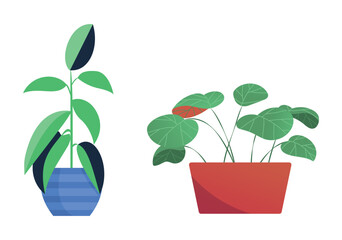 Set Hand drawn houseplant collection