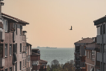 istanbul rome roma cologne türkiye human sea