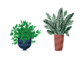 Set Hand drawn houseplant collection