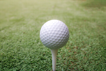 Close-Up of a White Golf Ball on a Tee Against Green Grass