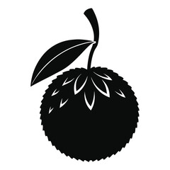 silhouette lychee on white background