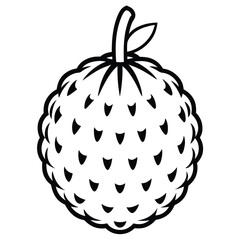 silhouette lychee on white background