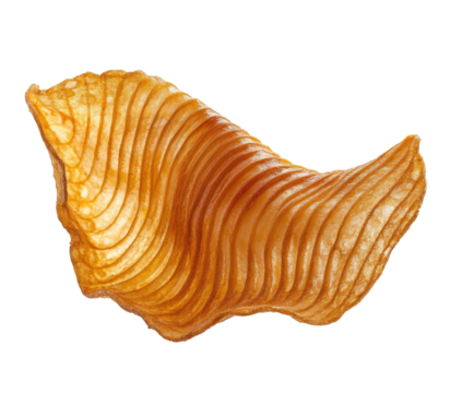 Close-up of a single, golden-brown, wavy, textured, possibly baked or fried, food item resembling a curved, irregular-shaped leaf or shell.  The surface shows parallel lines indicating layers or folds