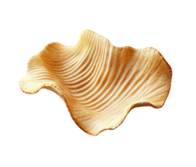 An organically shaped, light beige bowl or dish with a ribbed texture and undulating edges, suggesting a natural, perhaps shell-like form.  It is presented against a black background