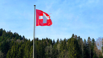 National flag of the Swiss Confederation (Flag of Switzerland - National Flag of Switzerland) / Nationalflagge der Schweizerischen Eidgenossenschaft (Offizielle Flagge der Schweiz - Schweizer Flagge)