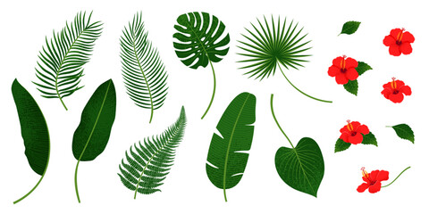 Set of tropical leaves and flowers. Isolated Vector illustration in trendy hand-drawn style