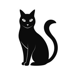 black cat on white background