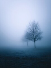 Mysterious scene of trees shrouded in dense fog