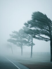 Hurricane with strong winds and heavy rain