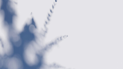 shadow overlay wall texture sunlight leaf shade abstract 3d render.