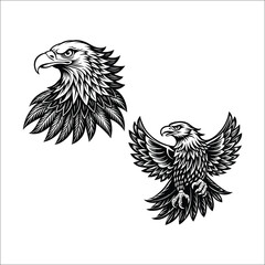 eagle head vector illustration
