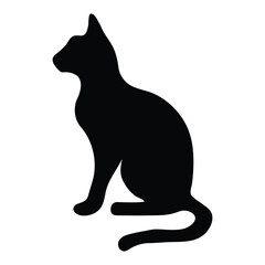 black cat on white background