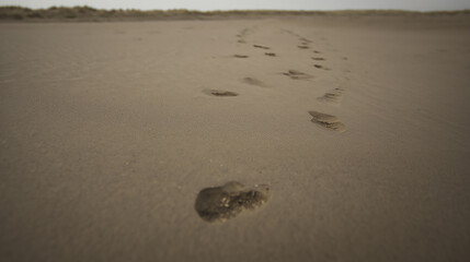 Footprints in the sand leading to the horizon beach scene