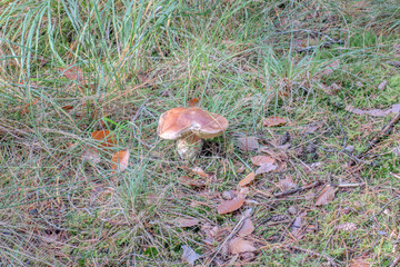 Landscapes, 2024, October