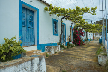Typical Portuguese houses in the village of Pomarão, Alentejo, Portugal
