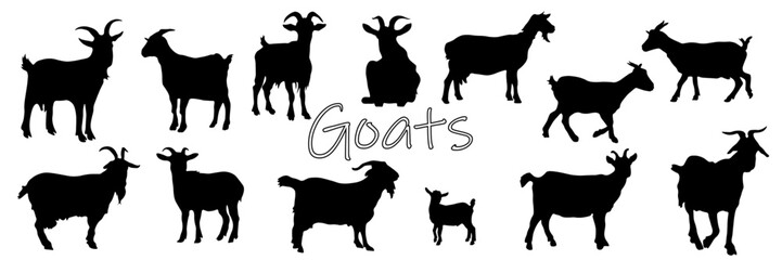 A collection of goat silhouettes in different poses. Perfect for farm images, animal identification graphics, educational content. clear, detailed view of goats