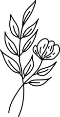 Flowers monoline art hand drawing minimalist illustration